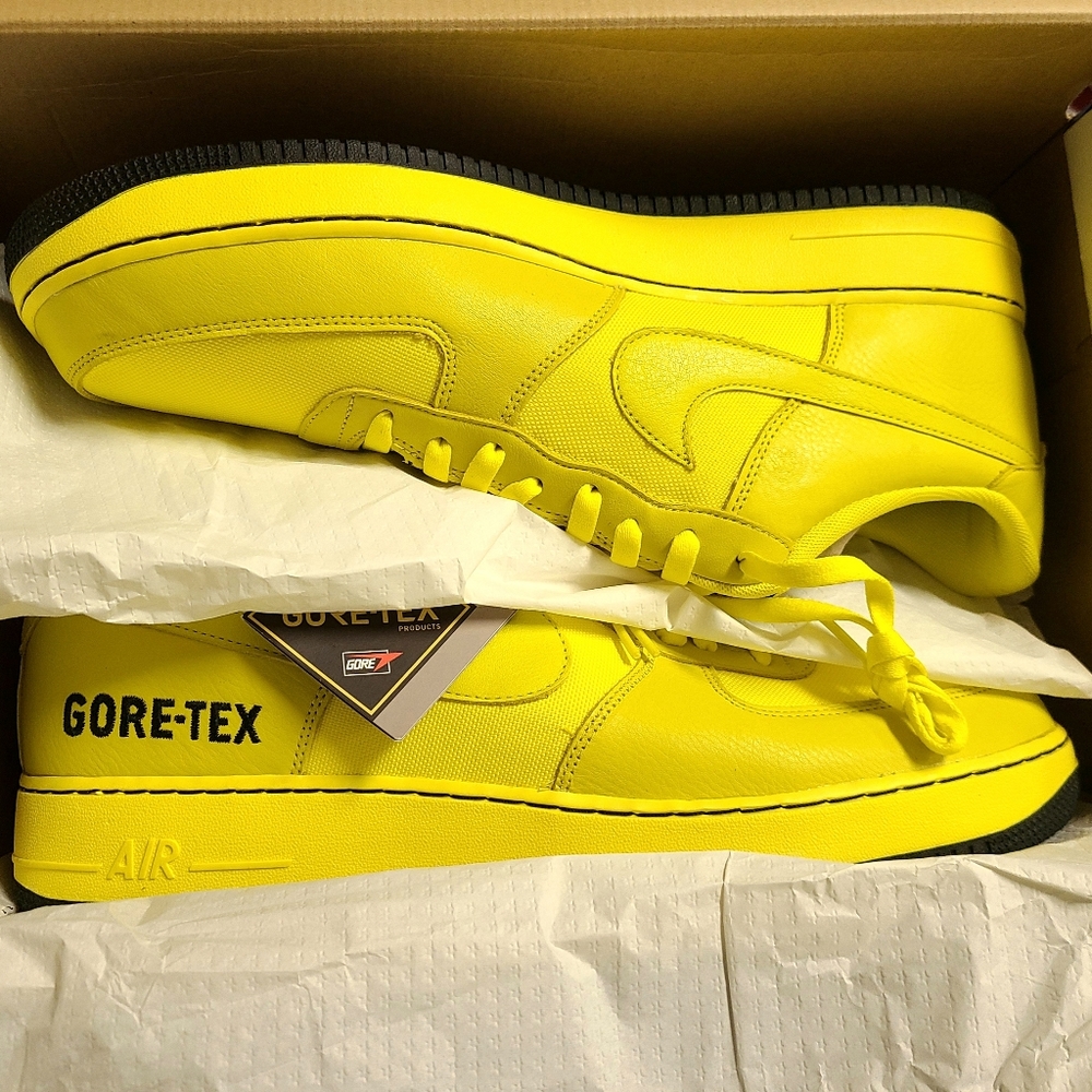 Nike Air Force 1 GTX shoe